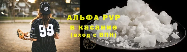 индика Гусь-Хрустальный