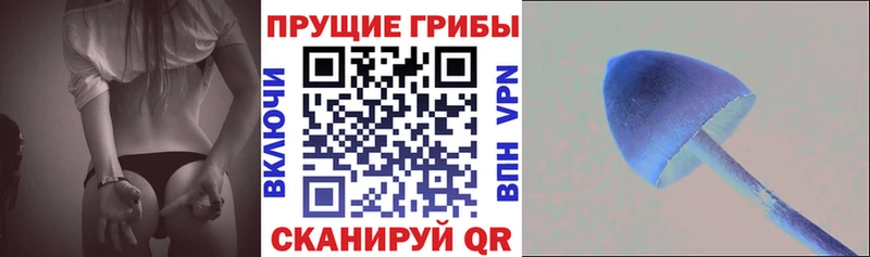 Псилоцибиновые грибы Psilocybe  купить   OMG ссылка  Старый Оскол 